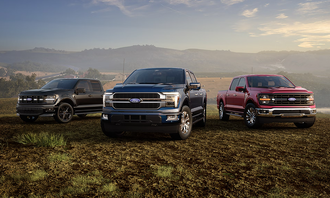 Three Ford F-150 trucks