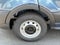 2026 Ford Transit Cargo Van 250MR XL