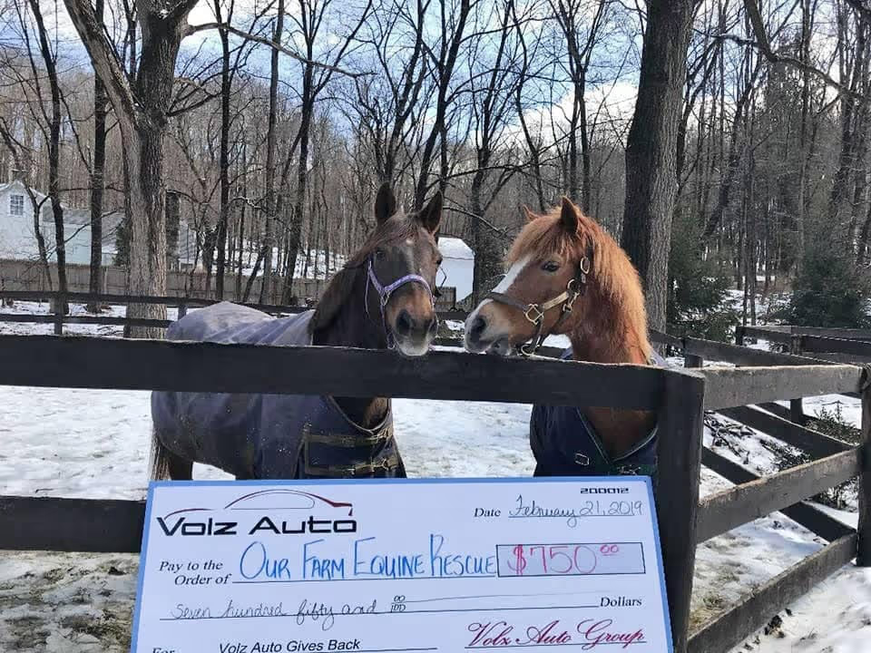 Two horses behind a fence with a donation check in front.