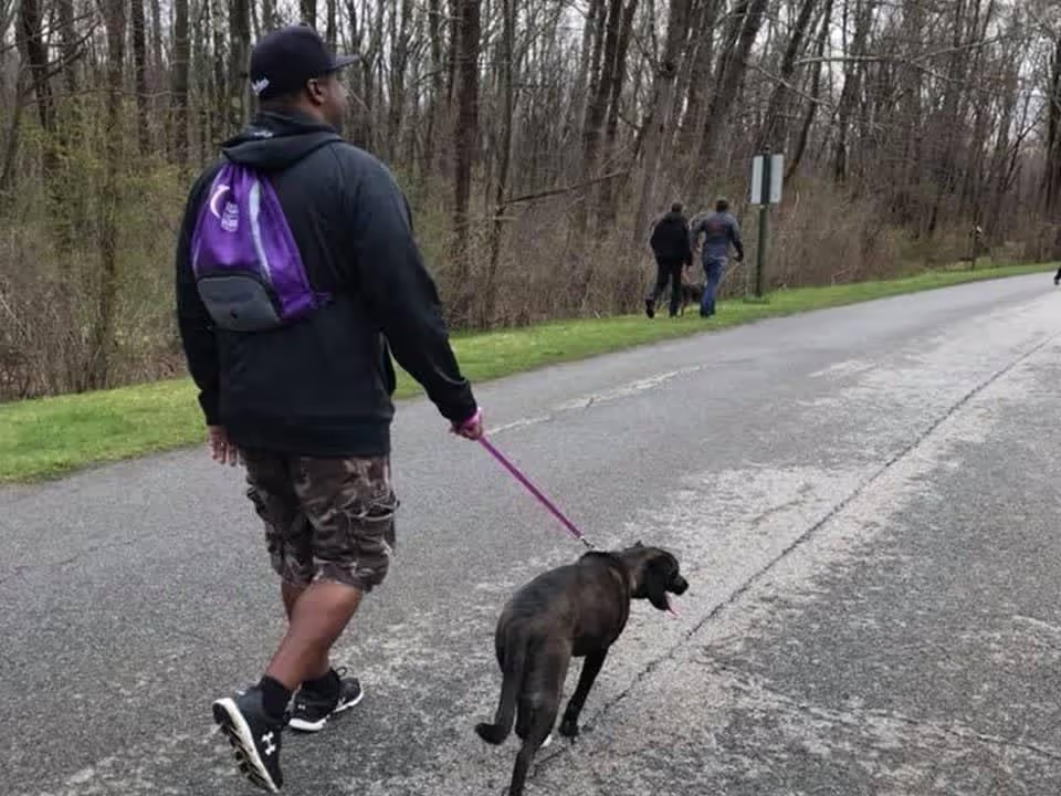 Person walking a dog on a wooded path.